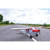 RANS S 20 Raven - 80 inches - 20cc 0.17m3 by Seagull Models SRP $802.39